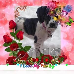 Meet your Posher, Paula